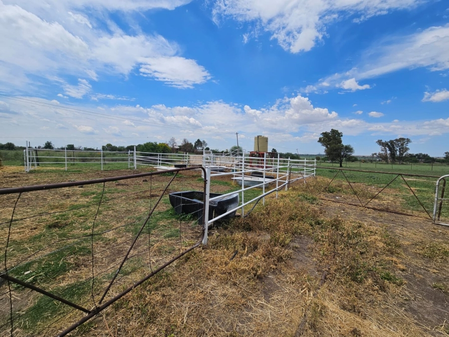 4 Bedroom Property for Sale in Koppies Free State